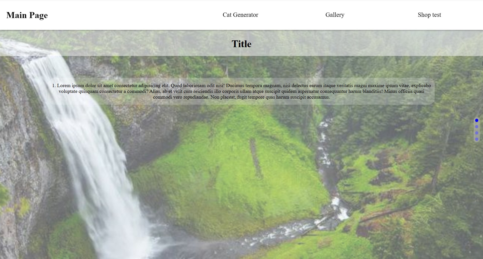 portfolio przykład 2