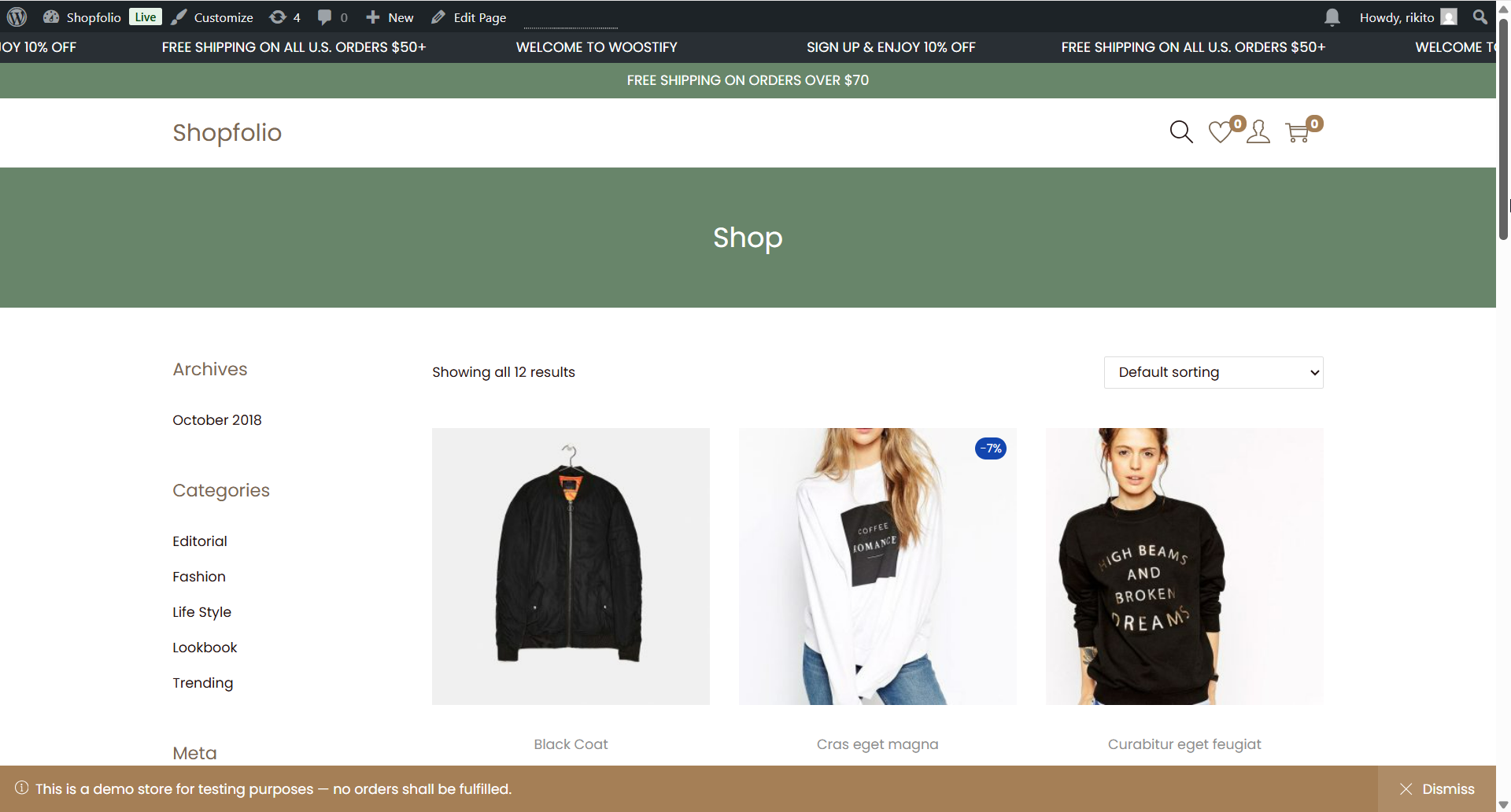 portfolio przykład 3